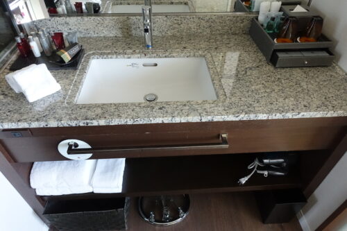 ベイシンの全体像の様子