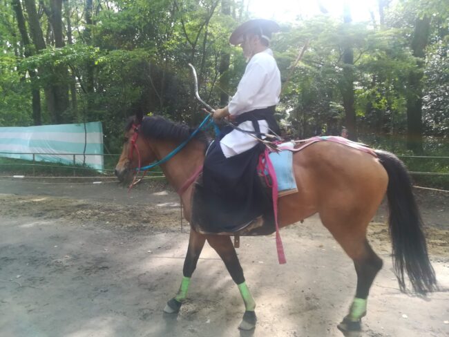流鏑馬用の馬の入場だ!