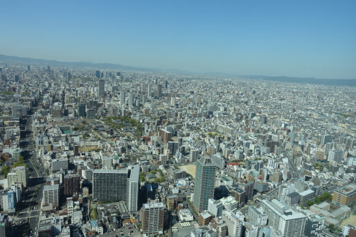 部屋の中と景色の案内をしてくれる