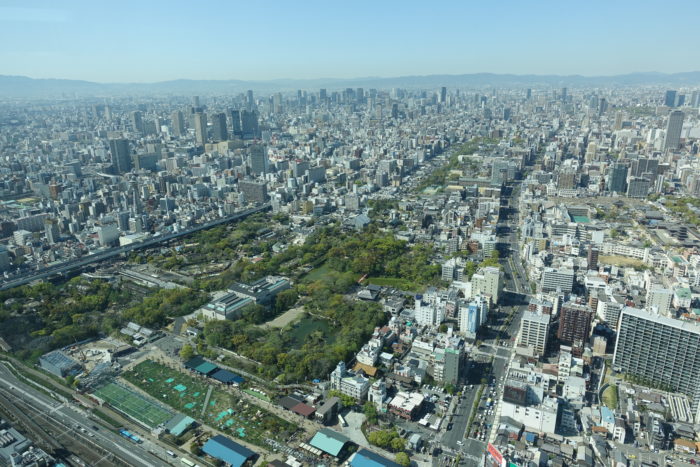 部屋の中と景色の案内をしてくれる