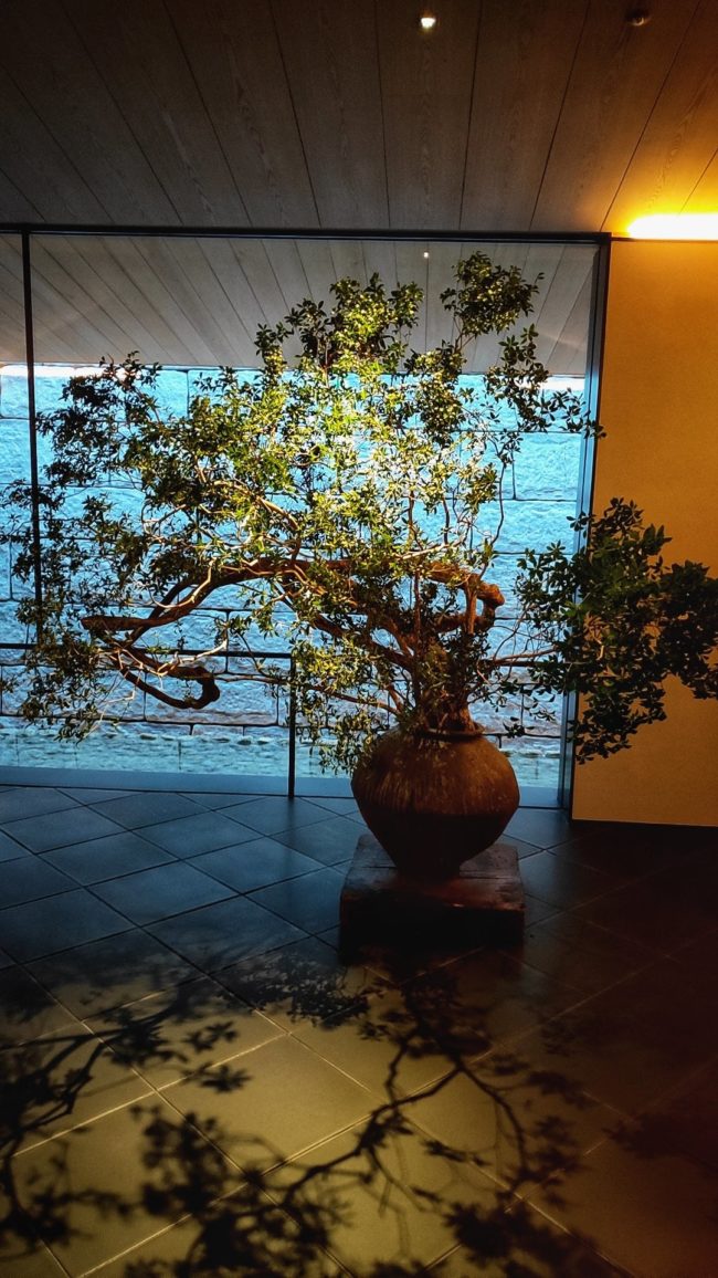 13時の時点では人はまばら