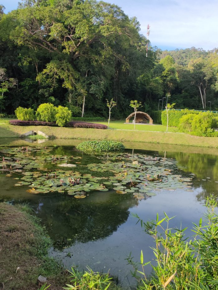 リッツカールトン　敷地