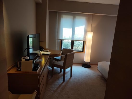 部屋に入った時の眺め