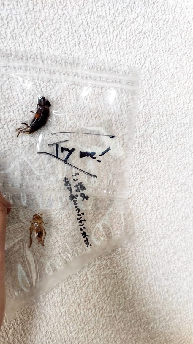 コオロギラーメントッピング