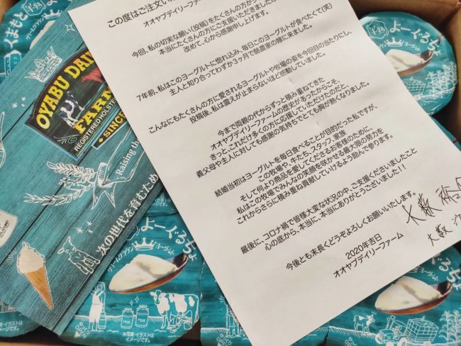 よーぐるちょチラシ