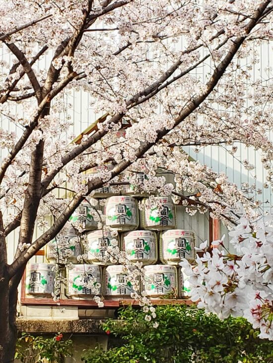 虫刺されのブヨ!春でも水辺に注意して