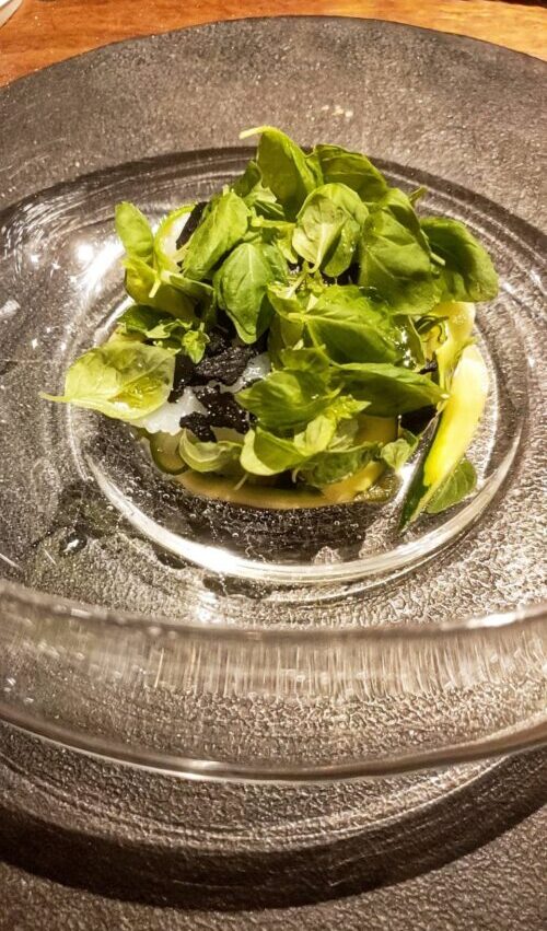 ハーブのグリーンが美しいアオリイカのサラダ