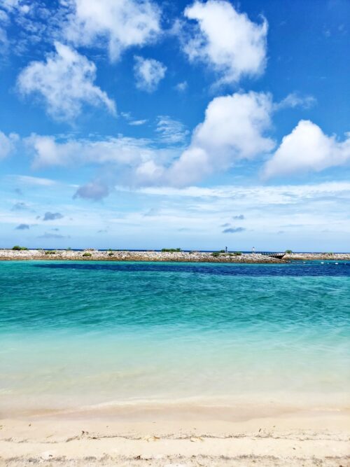 シェラトン沖縄サンマリーナの海は安心・安全