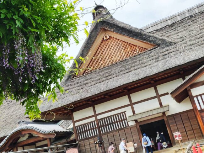 藤と学校の風景も味わい深い