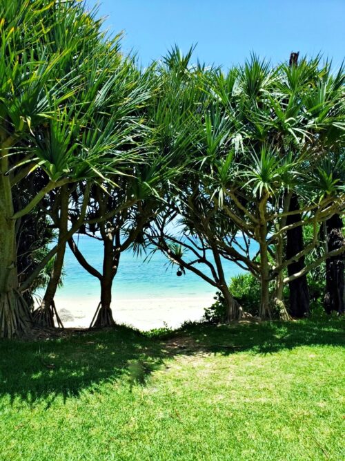 近くの万座ビーチ（コーラルヴィータ・チャペル）が綺麗だった