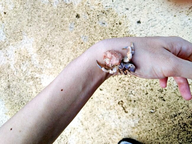 シェラトン沖縄サンマリーナの海は安心・安全